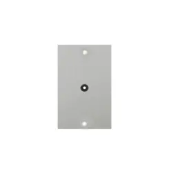 Placa Piso Leve 4X2 Inox Alto Brilho C/ Furo Central Olivo