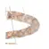 Pendente Led Cristal Kazy 53/80Cm 62W 3000K 2883 Ouro Brilho Nordecor
