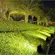 Refletor Ultrafino Led 3000K 30W Branco Bivolt Gaya