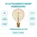 Lampada Filamento G125 Smart 5W 1800K/2400K Dimerizavel Gaya