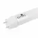 Lampada Led Tubular T8 60CM G13 6500K 10W Bivolt Gaya