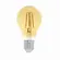 Lampada Led Filamento A60 4W 2400K Bivolt Gaya