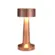 Luminaria Led de Mesa Nox Rose 3000k GMH