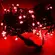 Pisca Pisca Cordao 100LEDs Fio Verde 110v Fixo Vermelho