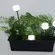 Espeto Pons LED 30x8cm G9 Aluminio Femarte