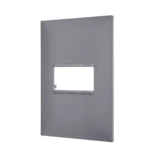 Placa 1 Posto 4X2 Cinza Pial Plus + Legrand