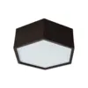 Plafon Hexa 16420/20 Especial Perfil Tropical 200X120Mm 02Xe27 Il.Direta Pt Usina