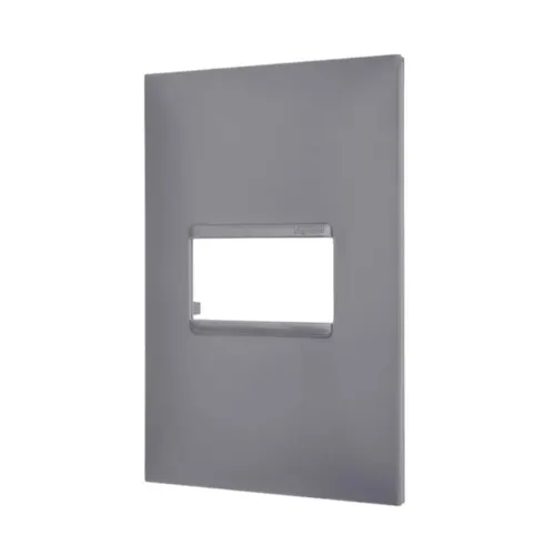 Placa 1 Posto 4X2 Cinza Pial Plus + Legrand