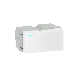 Modulo Interruptor Simples /Paralelo C/Led 10A/250V Branco