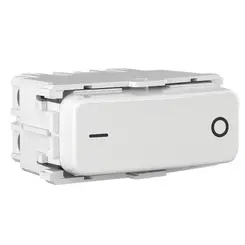 Modulo Interruptor Bipolar Simples 10A/250V Branco