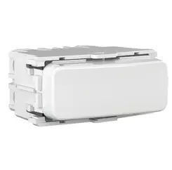 Modulo Interruptor Bipolar Paralelo 10A/250V Branco