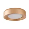 Plafon LED VETA 40cm com Controle Remoto Dourado Fosco 24W 904lm 40cm 3000K a 6500K Nordecor