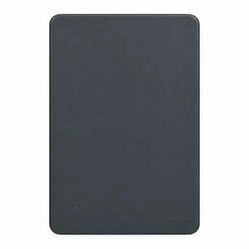 Placa 4X2 Cega Stellar Black Orion Schneider