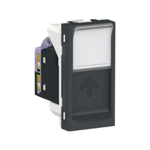 Modulo Tomada RJ45 8 Fios Utp CAT.6 1M Grafite Orion Schneider