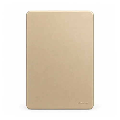 Placa 4X2 Cega Horizon Gold Orion Schneider