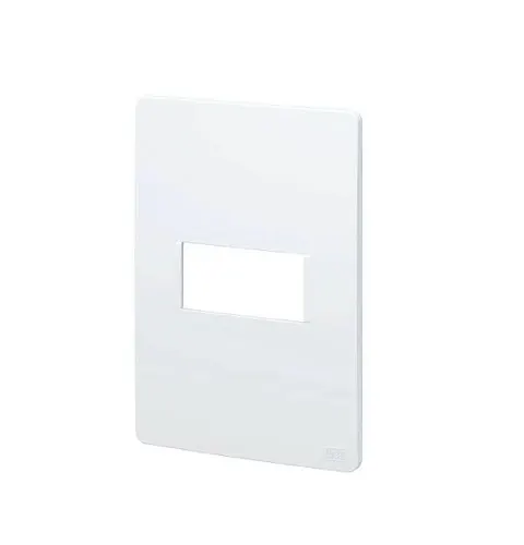 Placa 4X2 1 Posto Esatta Branco Weg