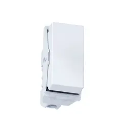 Modulo Interruptor Paralelo 10A/250V Branco Wetzel