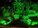 PROJETOR Led 30W Green IP65 Bivolt Luminatti